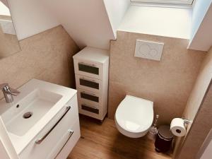 a small bathroom with a toilet and a sink at Ferienwohnung Hotel Preyt in Holtland +7 photos
