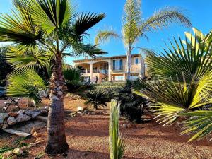 een groot huis met palmbomen ervoor bij Villa Portol in Pòrtol