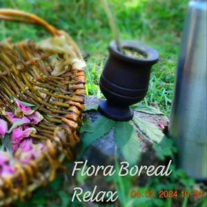 Φωτογραφία από το άλμπουμ του Refugio Holístico Flora Boreal σε El Bolson