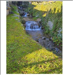 Romantic Retreat On The Lake في Nebbiuno: مجرى مائي يتدفق أسفل حقل عشبي