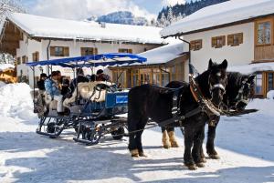 Hotel-Gasthof Mauthäusl v zimě