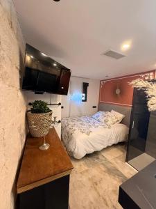蒙彼利埃Appartement 3 chambres à Montpellier, 70 m²的一间卧室，里面有一张床和一台平板电视