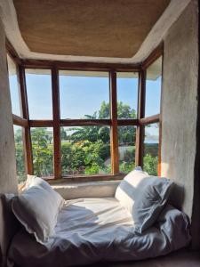 SehoreRadhe Radhe Homestay的有大窗户的房间里的一张床
