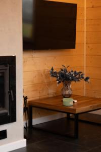 TV/trung tâm giải trí tại Azyl - domki wśród natury