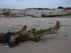 Φυσικό τοπίο κοντά σε αυτή η παραθεριστική κατοικία