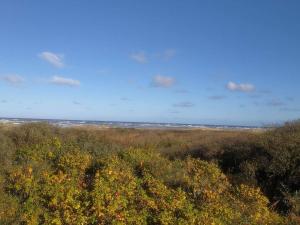 Φυσικό τοπίο κοντά σε αυτή η παραθεριστική κατοικία +33 φωτογραφίες