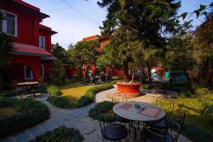 Κήπος έξω από το Hotel Blue Horizon