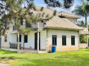 an old house with a palm tree in front of it at Kisubi Forest View in Entebbe