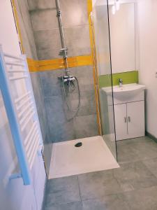un bagno con doccia e lavandino di La maison de la Motte a La Motte-Fanjas