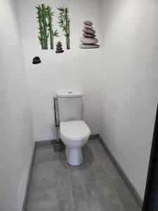a bathroom with a toilet with plants on the wall at La maison de la Motte in La Motte-Fanjas +5 photos