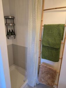 Koupelna v ubytování Le Cocon ô coeur du centre ville