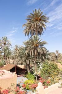 uma palmeira num jardim com flores em La Maison de l'Homme Bleu em Aït Boukha