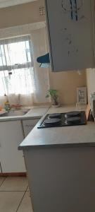 Η κουζίνα ή μικρή κουζίνα στο Sharon's Homestay