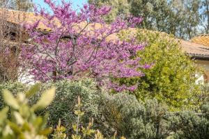 Zahrada ubytování Agriturismo Canova - Private Villas + 41 fotografií