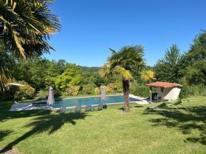 a pool with umbrellas and a palm tree in a yard at Chez Sarrazin in Brossac