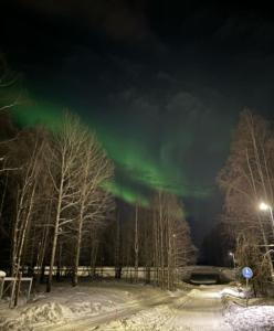 eine Aurora im Himmel über einem schneebedeckten Feld in der Unterkunft Lapland winter cottage in Rovaniemi
