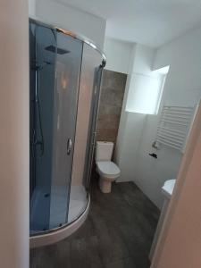 a bathroom with a shower and a toilet at Willa Cieszynianka in Wisła