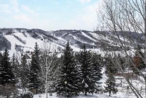 Out of the Blue - Shuttle to Blue Walk & Trails om vinteren + 42 billeder