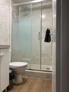 une salle de bains avec toilettes et douche en verre dans l'établissement Studio - Le Bourgogne 21, à Orléans