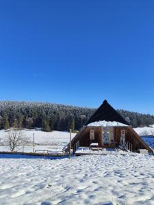 eine Blockhütte mit Schnee darauf auf einem Feld in der Unterkunft Apartment Hiesle in Sankt Georgen im Schwarzwald