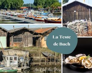 Φωτογραφία από το άλμπουμ του Le petit Joffre σε La Teste-de-Buch +6 φωτογραφίες