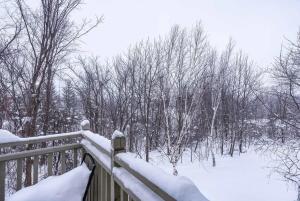 una recinzione ricoperta di neve accanto agli alberi di Snowy Mountain Summit & Sol - Shuttle - Patio a Collingwood