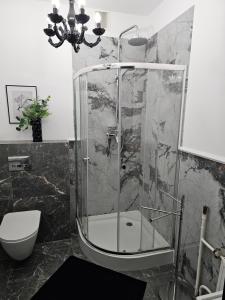 een douche met een glazen deur in een badkamer bij Pokój 105 Comfort 