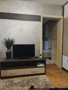 Μια τηλεόραση ή/και κέντρο ψυχαγωγίας στο Apartman Stefan Vrnjacka Banja +21 φωτογραφίες