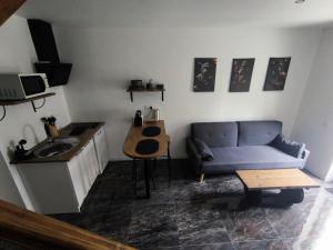 ein Wohnzimmer mit einem blauen Sofa und einem Waschbecken in der Unterkunft Apocalypse Love Room in Vianne