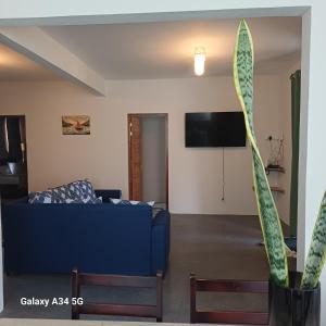 Μια τηλεόραση ή/και κέντρο ψυχαγωγίας στο Hébergement Mont Adonis