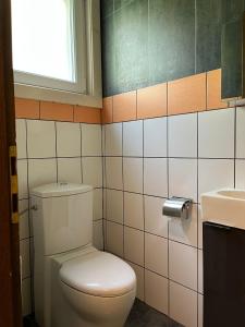 łazienka z toaletą i umywalką w obiekcie Parc Sonnleiten - Vakantiehuis 12 personen w mieście Gnesau Sonnleiten +9 zdjęć