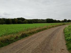 Φυσικό τοπίο κοντά σε αυτή η παραθεριστική κατοικία +6 φωτογραφίες