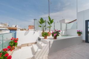 塞维利亚Luxurious Studio overlooking Casa Pilatos的白色墙壁上种植了盆栽植物的阳台