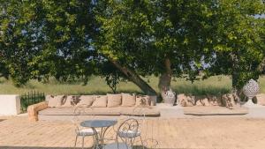 a couch sitting under a tree in a park at Tenuta Doxi in Gallipoli