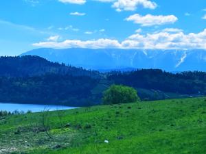 a green field with a lake and mountains in the background at Willa Pienińska 123 in Maniowy