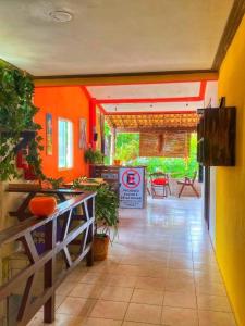 马塔迪圣若昂Hostel Litoral Norte Praia do Forte Bahia的橙色墙壁和植物走廊的房间