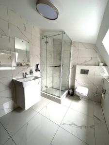 a bathroom with a shower and a sink and a toilet at Zámocká koruna u Hoffera in Nitra