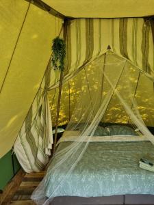 Billede fra billedgalleriet på Camping Ont Moeten - Tijdloos i Rekken