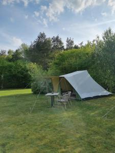 Billede fra billedgalleriet på Camping Ont Moeten - Tijdloos i Rekken