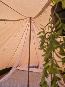 RekkenCamping Ont Moeten - Eindeloos的帐篷里一张床，旁边是一株植物。