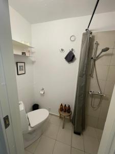 un bagno bianco con wc e doccia di Lillemøllens bed & breakfast a Ørbæk