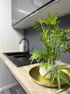 Kuchyň nebo kuchyňský kout v ubytování 1-Bed Apartment - Sleeps 2 Wifi & Central + 6 fotografií