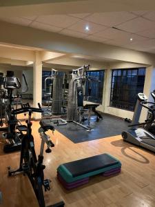 Cozy Two-Bed Retreat في نيروبي: صالة ألعاب رياضية بها العديد من أجهزة المشي والدراجات الرياضية
