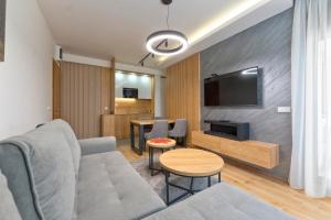 a living room with a couch and a tv at Apartman Vida Zlatibor in Zlatibor