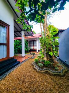 Vườn quanh Praana Ayurveda Boutique Villa