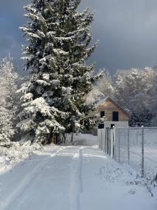 a snow covered road with a tree and a fence at Pod Hojsovkou in Železná Ruda
