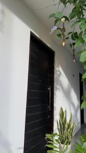 eine schwarze Tür in einem Zimmer mit Pflanzen in der Unterkunft Priima in Ahangama