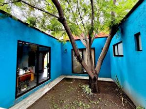 Vườn quanh Casa Flora Cholula