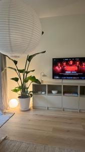 Un televizor și/sau centru de divertisment la Hygge & Schwarzwald - 2 Zimmer Wohnung in Bad Krozingen