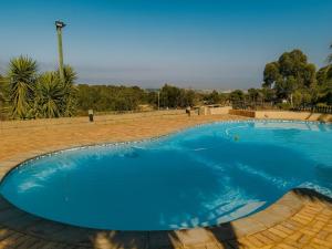 戈登湾Into the Sunset Manor的公园里的一个大型蓝色游泳池 更多9张照片